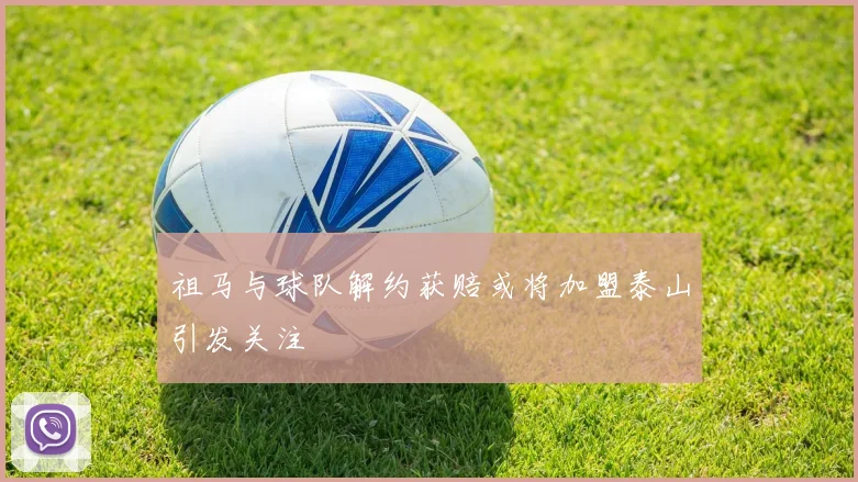 祖马与球队解约获赔或将加盟泰山引发关注