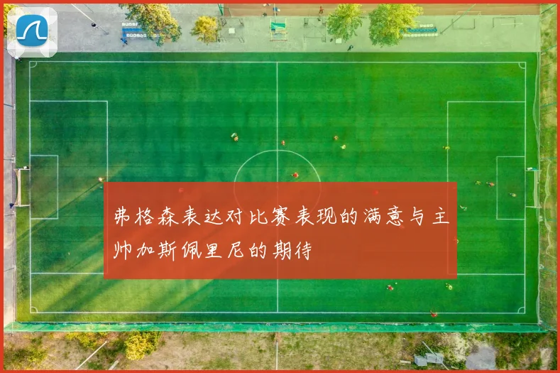 弗格森表达对比赛表现的满意与主帅加斯佩里尼的期待